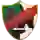 Al Ahli Am