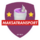 team_logo