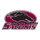 Southern Illinois Salukis (Women)