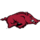 Đội bóng chuyền nữ Arkansas Razorbacks
