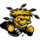 Wichita State Shockers (Women)