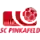 Pinkafeld