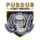 Đội nữ Mastodons Purdue Fort Wayne