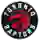 Торонто Рэпторс (BLADE)
