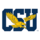 Coppin State Eagles