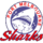 team_logo
