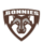 Đội bóng St. Bonaventure Bonnies