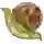 Zdolbuniv