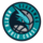 Đội bóng đá nữ Bắc Gold Coast Seahawks