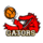 Đội bóng Gators Shepparton