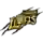 London Lions