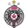 Partizan (cyber)