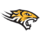 Towson Tigers