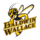 Baldwin Wallace Yellow Jackets