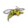 Black Hills State Yellow Jackets