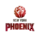 New York Phoenix