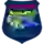 Veyle Saone FC