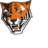 Buffalo State Bengals