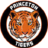 Đội Bóng Rổ Nữ Princeton Tigers