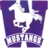 Вестерн Мустангс