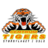 Centrum Tigers Oslo