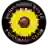 Sunflower State FC