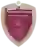 Al Wahda FC