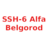 SSH-6 Alfa Belgorod U15