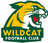 Đội bóng Wildcats Bắc Michigan (Nữ)