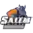 Salem State Vikings