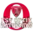 Optik