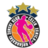 Celik Zenica (F)