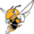 American Yellow Jackets