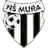 НС Мура