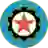 Borac Čačak