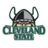 Cleveland State Vikings