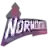 Đội bóng đá nữ Norwood Flames