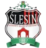 Slesin