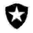 Botafogo U19