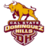 Đội bóng California State Dominguez Hills Toros