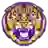 Đội nữ LSU Tigers