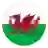 Wales U21