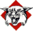 Đội bóng rổ nữ Davidson Wildcats