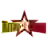 North Eastern MetroStars
