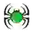 Hornsby Spiders (Women)