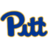 Pittsburgh Panthers
