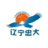 Liaoning Dalian (Women)