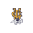 UC Irvine Anteaters
