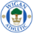 FC Wigan Athletic II