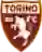 Торино ЛФЛ